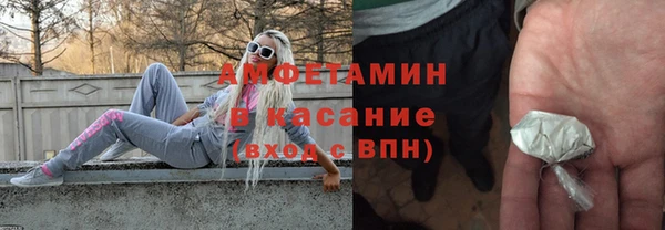 шишки Богородицк