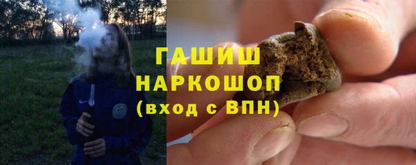 шишки Богородицк