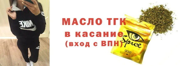 шишки Богородицк