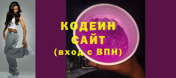 шишки Богородицк