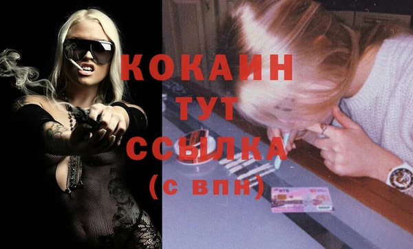 шишки Богородицк