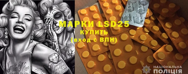 шишки Богородицк