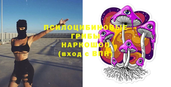 шишки Богородицк