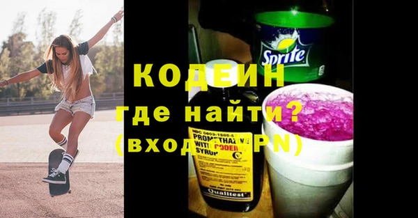 шишки Богородицк